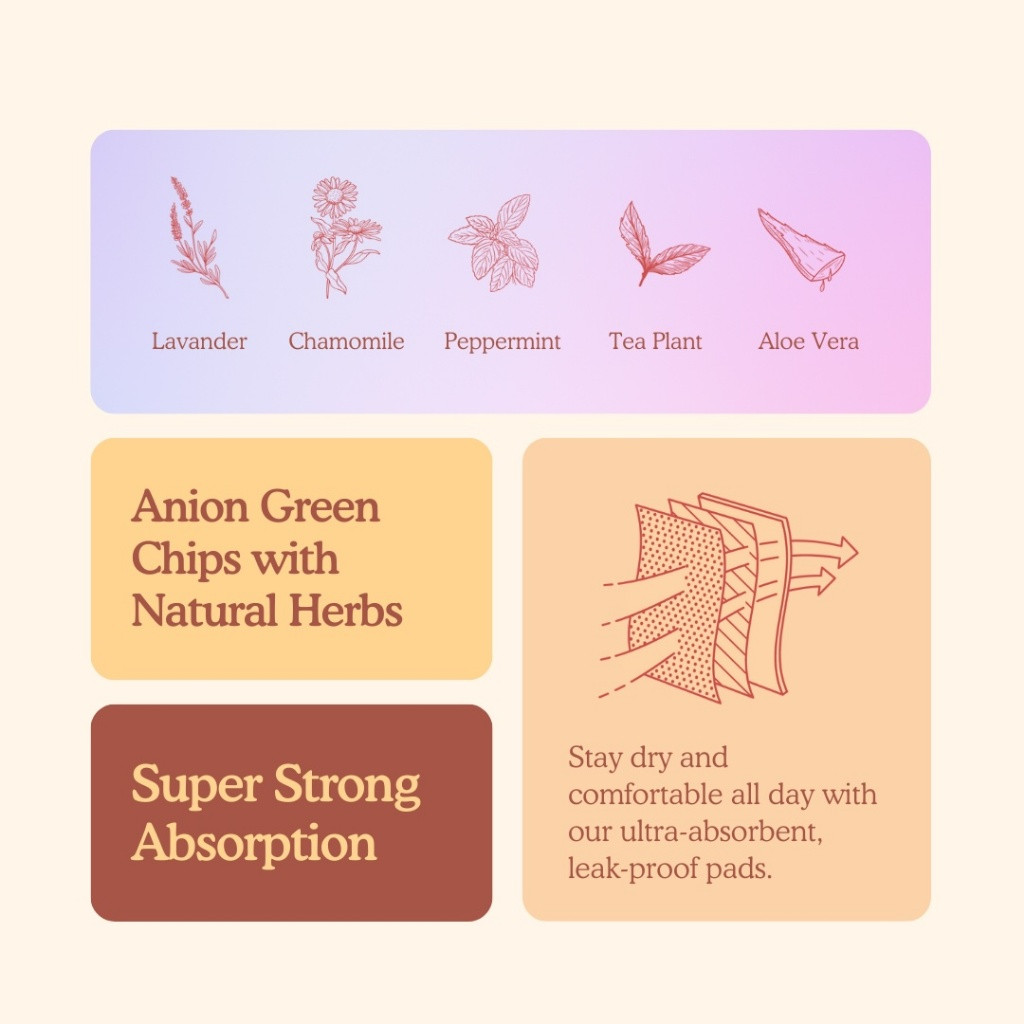 Amez Lite Sanitary Pads Day Use / Night Use / Pantyliner Affordable Thin Tuala Wanita Sanitari Anti Bacteria 日用 夜用卫生巾 护垫 - Image 3
