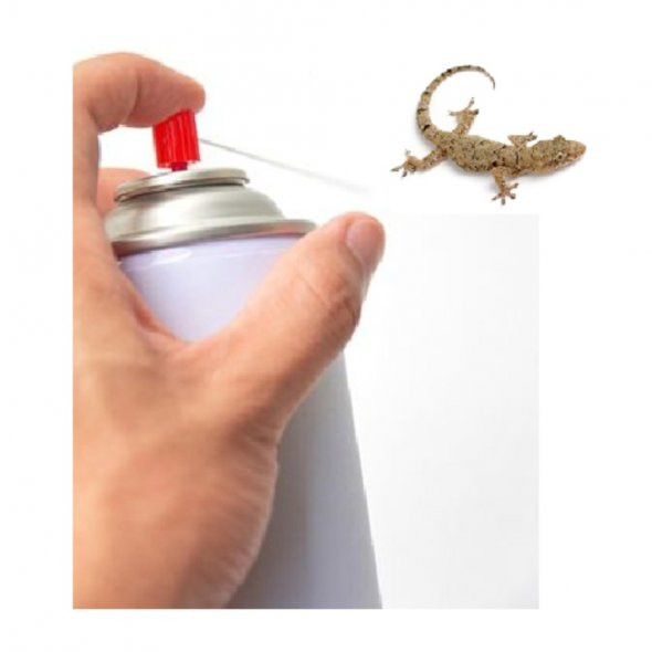 Kleenso Pesso Lizard Repellent (Aerosol) (400ml) - Image 2